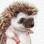 paulGGe 的头像