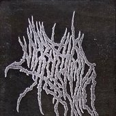 Exhumation Order