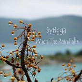 When The Rain Falls
