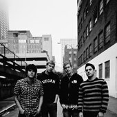 THE SWELLERS 2010