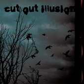 Cut Out Illusion
