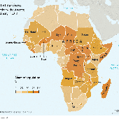 Africa Everyday
