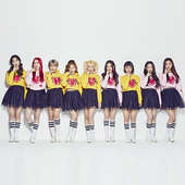 【MOMOLAND The BEST ~Korean Ver.~】