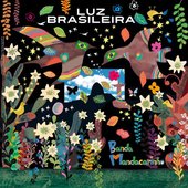 Luz Brasileira / ブラジルの光