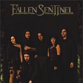 FALLEN SENTINEL OFFICIAL 2010