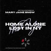 Home Alone Lost in NY Artwork
