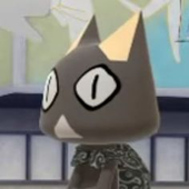 Scotisss 的头像