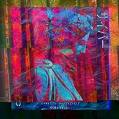 Digital Forest