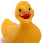 Avatar für ducky427