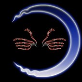 From The Shadows Of A Hallow Moon