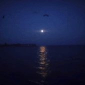 moonlight