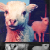 LastFM profile picture for @immune