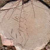 Аватар для abydos48