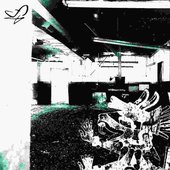trespasser