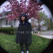 starting to break cover art.JPEG