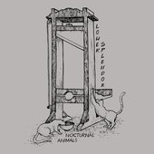 Nocturnal Animals