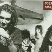 The Dogs D'Amour 1993