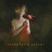 xerophytic garden