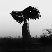 DOGTOOTH. And Other Such Tales of The Macabre