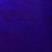 Live 111523