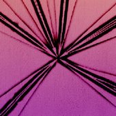 ab676161000051743e849fa8ee47abfd5b0c0e1a.jpeg