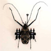 LastFM profile picture for @sparse