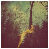 Eldir Nótt - Sphæra Satvrni Art