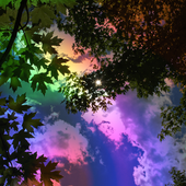Avatar for psyfae
