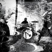 IMG_2234.jpeg