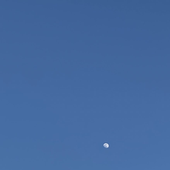 pinksblue 的头像