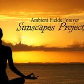 Ambient Fields Forever