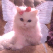 Avatar di mimikyann