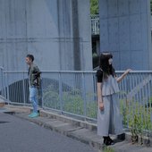 Cookie Romance Nonsugar.jpg