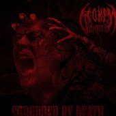 Shrouded By Death