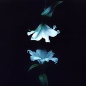 Nocturne [Explicit]