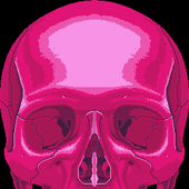 1044623_511889802217525_913046567_n.png