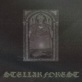 Stellar Forest