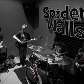 spiderwalls_onthewall