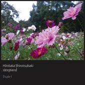 Hirotaka Shirotsubaki & Sleepland - Étude I.jpg