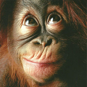 Avatar di wordlessworld