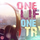 One Life, One Try