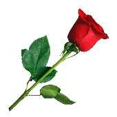 Avatar for R01746