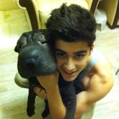 Zayn and the dog