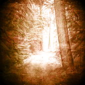 cover.png