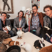 guster & animals (friends)