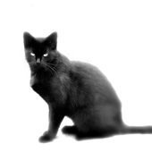 LastFM profile picture for @psychoanalysis