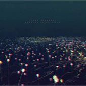 Dancing Inner Field - EP