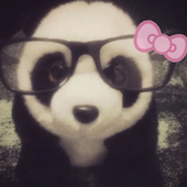 natefan10 的头像