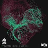 Declare Madness