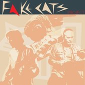 Fake Cats Project